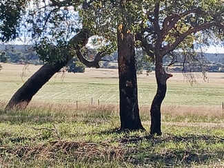 Rural / Farming commercial property sold at 1271 Dobaderry Road York WA 6302 Rural / Farming commercial property sold at 1271 Dobaderry Road York WA 6302