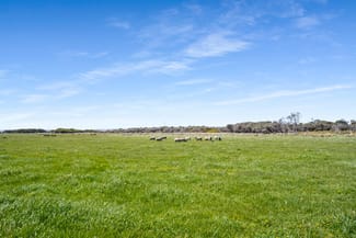 Rural / Farming commercial property sold at 701 Nora Creina Road Robe SA 5276