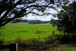 Rural / Farming commercial property for sale at 30 Rutherhill Rd Torbay WA 6330