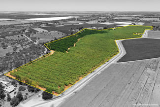 Rural / Farming commercial property for sale at 182 Carey Street and 210 Dumosa Street Red Cliffs VIC 3496 Rural / Farming commercial property for sale at 182 Carey Street and 210 Dumosa Street Red Cliffs VIC 3496