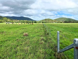 Rural / Farming commercial property for sale at Mount Ossa QLD 4741