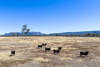 Rural / Farming commercial property sold at Golton South Road Dadswells Bridge VIC 3385 Rural / Farming commercial property sold at Golton South Road Dadswells Bridge VIC 3385