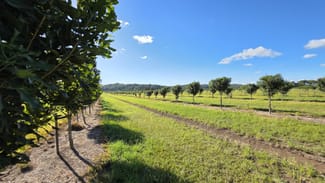 Rural / Farming commercial property for sale at 292 Pimlico Road Pimlico NSW 2478