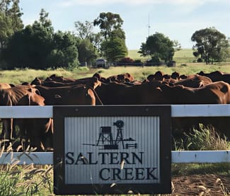 Rural / Farming commercial property sold at 1970 Saltern Creek Road Barcaldine QLD 4725 Rural / Farming commercial property sold at 1970 Saltern Creek Road Barcaldine QLD 4725
