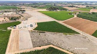 Rural / Farming commercial property sold at 37 Trioda Street Red Cliffs VIC 3496