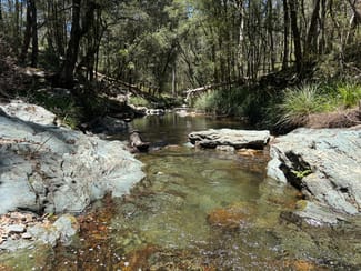 Rural / Farming commercial property for sale at 83 Eaglehawk Trail Yarrowitch NSW 2354