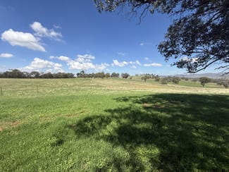 Rural / Farming commercial property sold at Lot 172 & 173 Reynolds Lane Binalong NSW 2584 Rural / Farming commercial property sold at Lot 172 & 173 Reynolds Lane Binalong NSW 2584