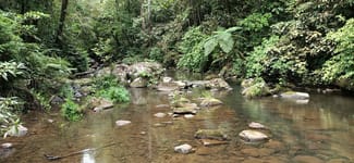 Rural / Farming commercial property for sale at 9 Middlebrook Rd Millaa Millaa QLD 4886