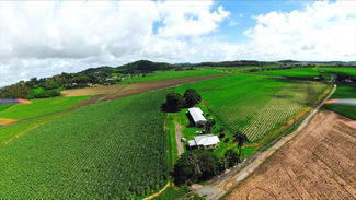Rural / Farming commercial property for sale at 84 Harvisons Road Erakala QLD 4740 Rural / Farming commercial property for sale at 84 Harvisons Road Erakala QLD 4740