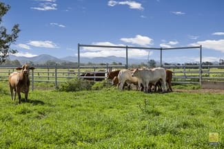 Rural / Farming commercial property sold at 85 Colinwood Lane Boyne Valley QLD 4680 Rural / Farming commercial property sold at 85 Colinwood Lane Boyne Valley QLD 4680