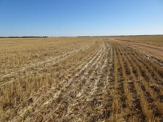 Rural / Farming commercial property sold at 3397 Bendering Road Kondinin WA 6367