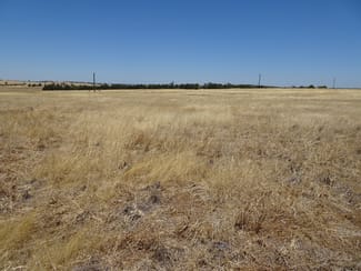 Rural / Farming commercial property for sale at 160 Chittleborough Road Brookton WA 6306 Rural / Farming commercial property for sale at 160 Chittleborough Road Brookton WA 6306