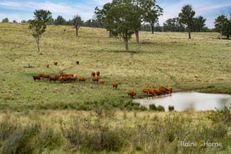Rural / Farming commercial property for sale at 733 Niangala Road Woolbrook NSW 2354