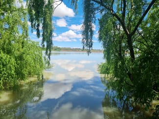 Rural / Farming commercial property for sale at 8172 Princes Highway Tailem Bend SA 5260 Rural / Farming commercial property for sale at 8172 Princes Highway Tailem Bend SA 5260