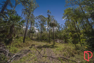 Rural / Farming commercial property for sale at 42 Turpentine Road Tomerong NSW 2540