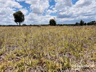 Rural / Farming commercial property sold at 330 Burrow Downs Road Injune QLD 4454 Rural / Farming commercial property sold at 330 Burrow Downs Road Injune QLD 4454