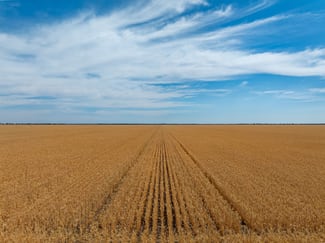 Rural / Farming commercial property for sale at 278 Daenke Road Jerilderie NSW 2716 Rural / Farming commercial property for sale at 278 Daenke Road Jerilderie NSW 2716