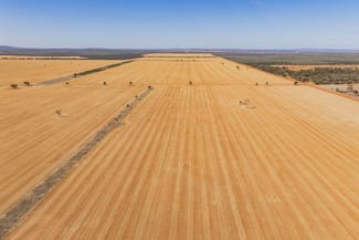 Rural / Farming commercial property for sale at 2880 Tallebung Road Condobolin NSW 2877