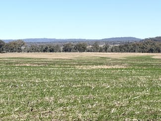 Rural / Farming commercial property for sale at Lot 50 Rosenberger Road Wyreema QLD 4352