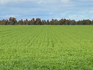 Rural / Farming commercial property sold at 1205 Lower Darlington Road Lismore VIC 3324
