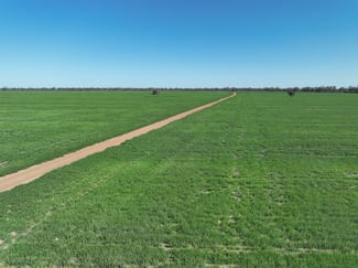 Rural / Farming commercial property for sale at 'The Pines' 211 Dicks Camp Road Collie NSW 2827
