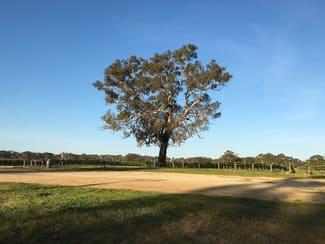 Rural / Farming commercial property sold at Nolans Road Hynam SA 5262 Rural / Farming commercial property sold at Nolans Road Hynam SA 5262