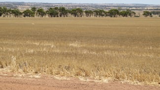 Rural / Farming commercial property sold at Glen Waddi, Waddy Forest Coorow WA 6515