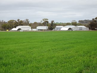 Rural / Farming commercial property for sale at 747 Yenellin Road East Pingelly WA 6308 Rural / Farming commercial property for sale at 747 Yenellin Road East Pingelly WA 6308