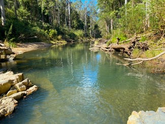 Rural / Farming commercial property for sale at 427 Shaws Road Hollisdale NSW 2446 Rural / Farming commercial property for sale at 427 Shaws Road Hollisdale NSW 2446