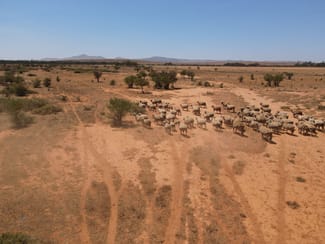 Rural / Farming commercial property sold at 258 Pycroft Rd Orroroo SA 5431 Rural / Farming commercial property sold at 258 Pycroft Rd Orroroo SA 5431