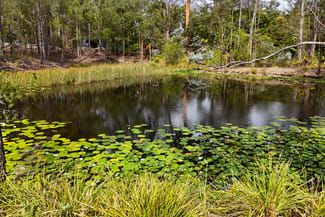 Rural / Farming commercial property sold at 75 Smiths Creek Road Kundabung NSW 2441