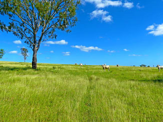 Rural / Farming commercial property for sale at "Jacques " 0 Cunningham Road, Nine Mile QLD 4702 Rural / Farming commercial property for sale at "Jacques " 0 Cunningham Road, Nine Mile QLD 4702