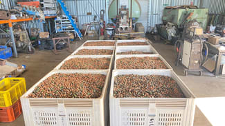 Rural / Farming commercial property for sale at 195 Pashleys Road Welcome Creek QLD 4670