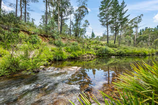 Rural / Farming commercial property for sale at 7288 Nerriga Road Oallen NSW 2622 Rural / Farming commercial property for sale at 7288 Nerriga Road Oallen NSW 2622