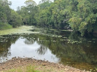Rural / Farming commercial property sold at 142 PERRY RIVER FARMS RD Morganville QLD 4671