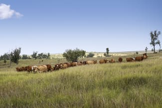 Rural / Farming commercial property sold at "Passchendaele" Bassingthwaightes Road Chahpingah QLD 4610 Rural / Farming commercial property sold at "Passchendaele" Bassingthwaightes Road Chahpingah QLD 4610