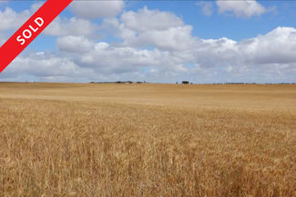 Rural / Farming commercial property for sale at 33 Lutze Road Coonalpyn SA 5265 Rural / Farming commercial property for sale at 33 Lutze Road Coonalpyn SA 5265