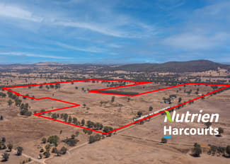 Rural / Farming commercial property sold at 337 Laceby-Glenrowan Road Laceby VIC 3678 Rural / Farming commercial property sold at 337 Laceby-Glenrowan Road Laceby VIC 3678