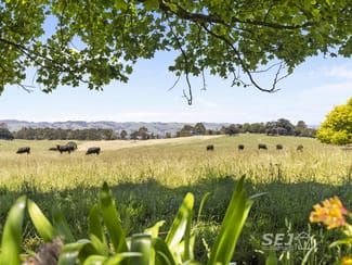 Rural / Farming commercial property sold at 155 Coulters Road Mardan VIC 3953 Rural / Farming commercial property sold at 155 Coulters Road Mardan VIC 3953
