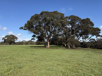 Rural / Farming commercial property for sale at 490 East West Two Highway Seddon SA 5223