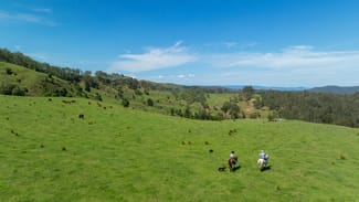 Rural / Farming commercial property for sale at Bingeebeebra Creek Mummulgum NSW 2469 Rural / Farming commercial property for sale at Bingeebeebra Creek Mummulgum NSW 2469