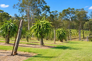 Rural / Farming commercial property for sale at Bulldog NSW 2469 Rural / Farming commercial property for sale at Bulldog NSW 2469
