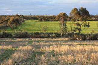 Rural / Farming commercial property for sale at Lot 1, 905 Ngallo Road Carina VIC 3512