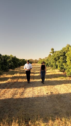 Rural / Farming commercial property sold at 1770 Beermullah Road West Gingin WA 6503