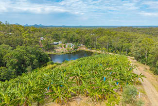 Rural / Farming commercial property for sale at 349 Jackson Road Wamuran QLD 4512 Rural / Farming commercial property for sale at 349 Jackson Road Wamuran QLD 4512