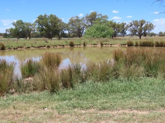 Rural / Farming commercial property for sale at "Wattle-wee-doo" 14213 New England HWY Timbumburi NSW 2340 Rural / Farming commercial property for sale at "Wattle-wee-doo" 14213 New England HWY Timbumburi NSW 2340