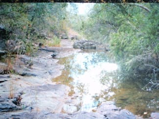 Rural / Farming commercial property sold at Blackbutt QLD 4314