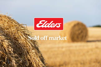 Rural / Farming commercial property sold at 411 Echuca- Mitiamo Road Echuca West VIC 3564