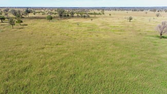 Rural / Farming commercial property sold at 'Glencoe' 28547 Carnarvon Highway Roma QLD 4455