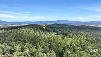 Rural / Farming commercial property for sale at 12F & 12G Minchins Track Bonang VIC 3888 Rural / Farming commercial property for sale at 12F & 12G Minchins Track Bonang VIC 3888